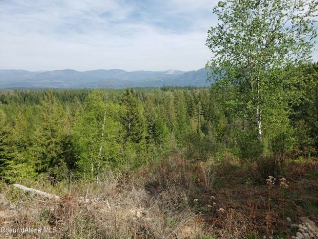 SOLD! 40 acres with a creek and mountain  views