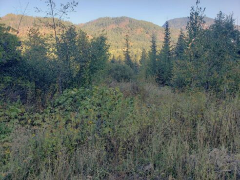Clark Fork River and mountain views  20.04-acre parcel