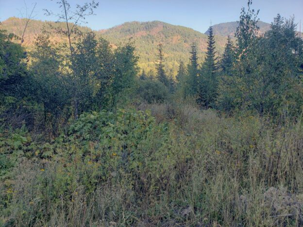 Clark Fork River and mountain views  20.04-acre parcel